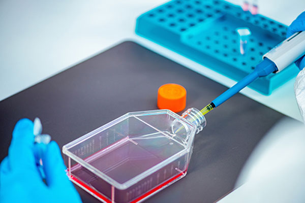 Talk to our Laboratory Automation specialists