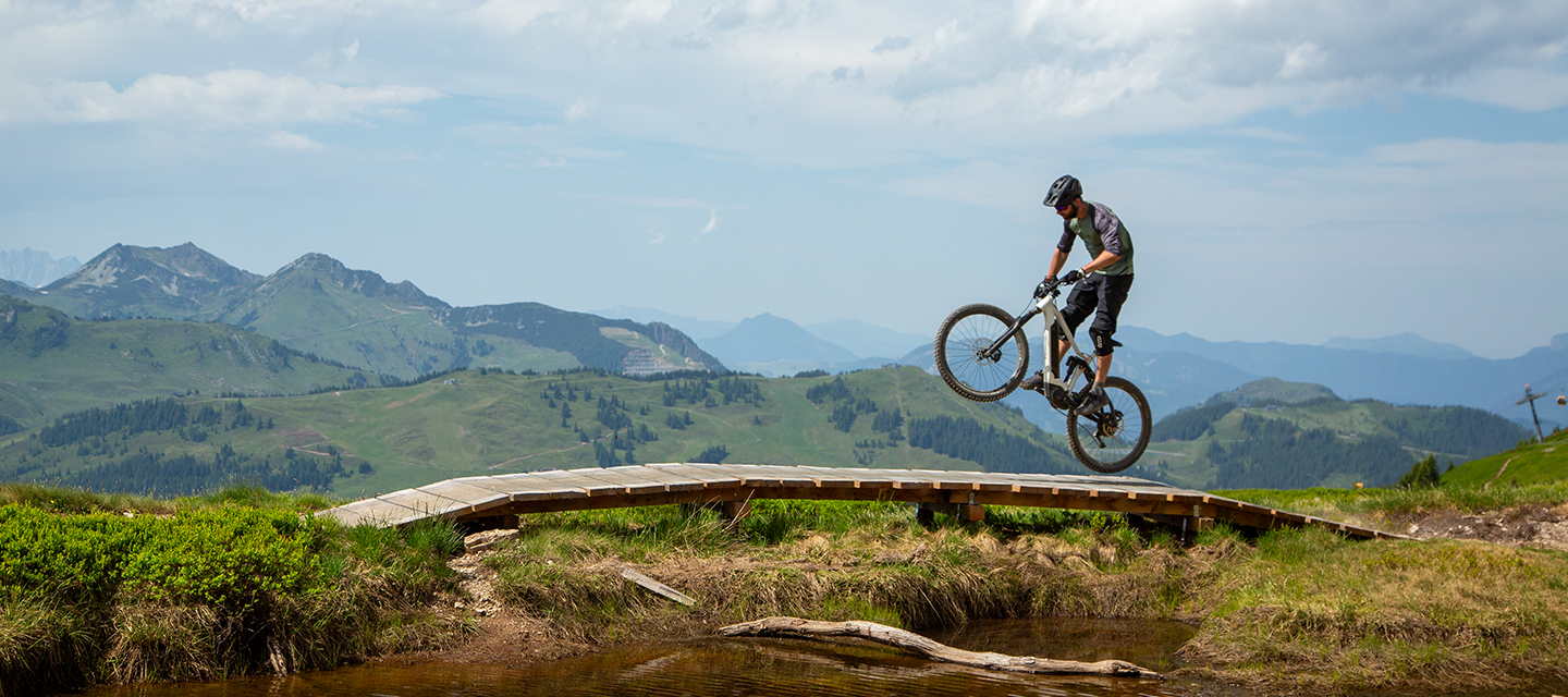 e-bike MOUNTAIN mood Panasonic Industry alps