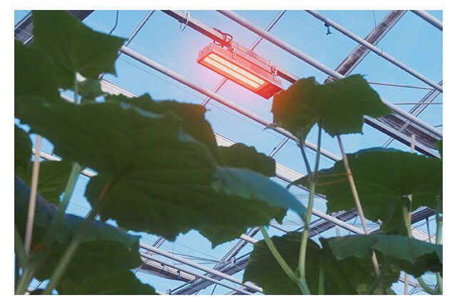 RED Horticulture Partners with Panasonic Industry Europe to Revolutionize Smart Lighting Solutions for Greenhouses