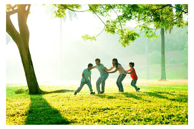 Environment and Sustainability