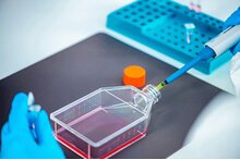 Automation of cell culture: now is the time