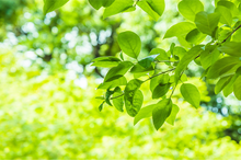 Small size, big energy savings